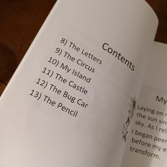 My Authored Children's Book - Picture 3 of 4